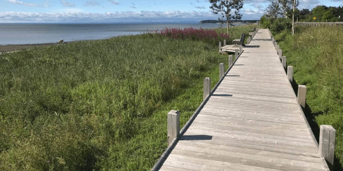 boardwalk with clear sky